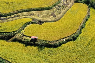 Arable Land Down for 10th Consecutive Year in 2022