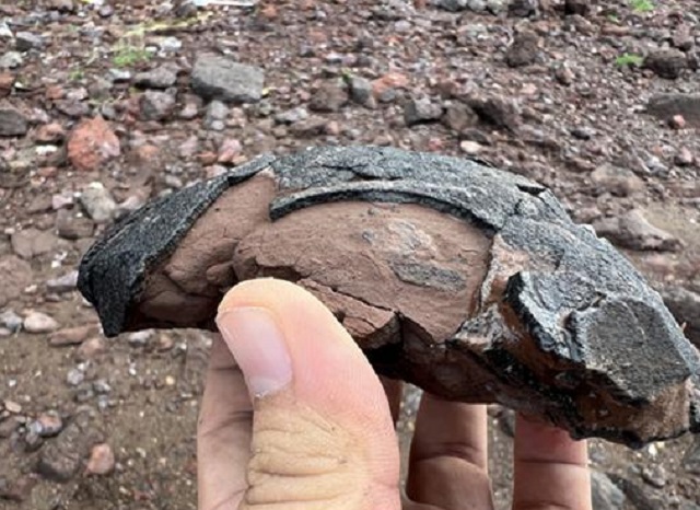 Rare Discovery of Dinosaur Egg Fossils Reported in S. Korea’s Southwestern Region