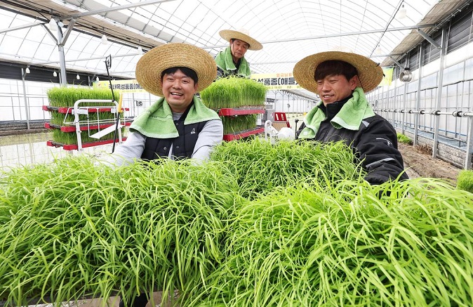 This file photo taken Feb. 15, 2023, shows farmers planting rice in the city of Icheon, Gyeonggi Province. (Yonhap)