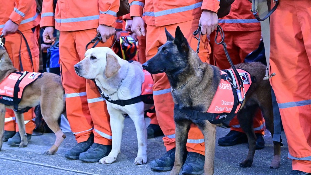Members of the Korea Disaster Relief Team (KDRT) and their rescue dogs, who were deployed to help victims of the earthquake in Turkiye, are returning home at 7 a.m. Feb. 18 at Seoul International Airport in Seongnam, Gyeonggi Province. (Image courtesy of Yonhap)