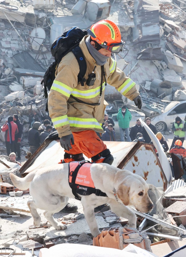A member of the Korean Disaster Relief Team (KDRT) and a rescue dog, Tobaek, conduct a search operation in Antakya city, Hatay, Turkiye, on the morning of Feb. 10 (local time).