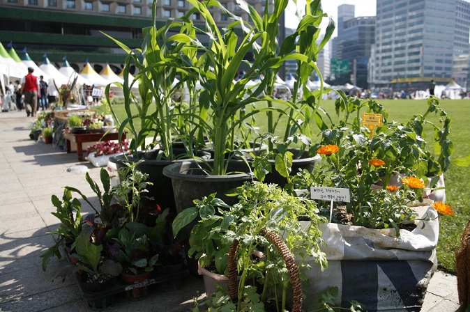 Seoul City Opens General Hospital for Plants