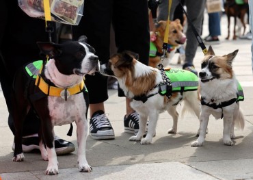 Seoul Dog Patrol Team Honored for Rescuing Missing Disabled Man