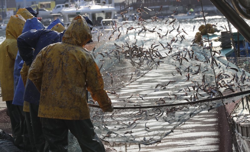 Gijang Anchovy Festival to Showcase the Best of Spring Seafood Delicacy in Busan