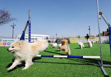 Incheon to Host Pet Marathon in October