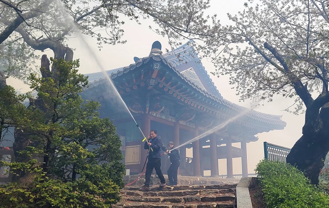 Civil Servants Step Up to Fight Gangneung Wildfire