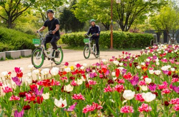 Ddareungi: Seoul’s Public Bicycle Service Hits 100 Million Rides