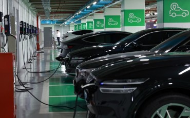 Imported EV Market Share Twice as High as That of ICE Cars
