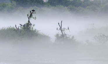 The Soyang River Transformed: A Spectacular Landscape Enveloped in Mist