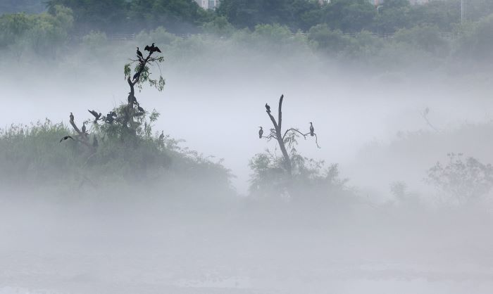 The Soyang River Transformed: A Spectacular Landscape Enveloped in Mist