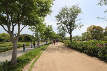 Suncheon Bay National Garden Hosts Earthing Day Event
