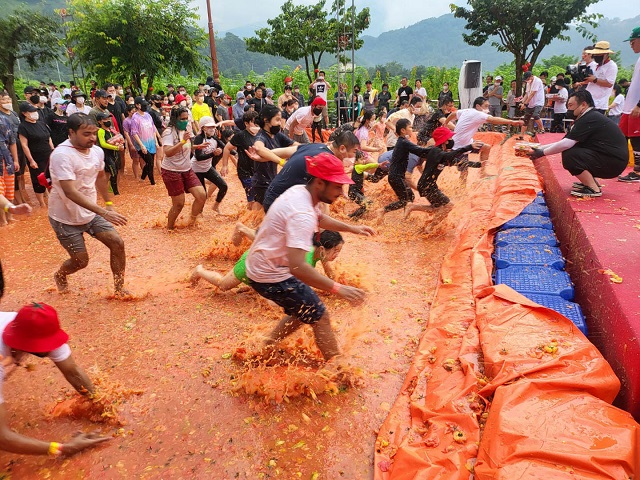 Hwacheon Tomato Festival to Open on August 3