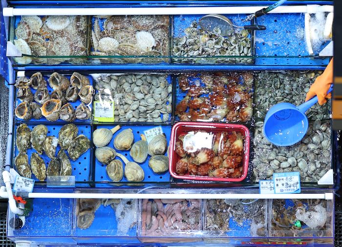 Government Maintains Ban on Seafood Imports from Fukushima Vicinity