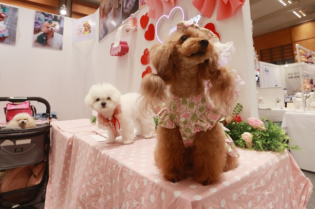 S. Korea to Expand Market for Pet Products to 15 tln Won by 2027