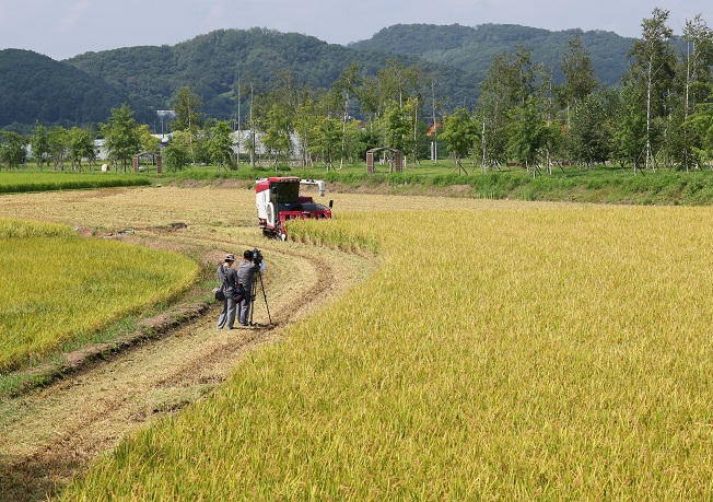 S. Korea’s Total Rice Paddy Area Down in 2023