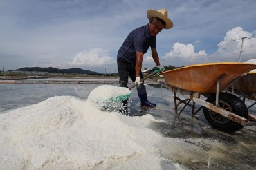 S. Korea Begins Intensive Radiation Tests on Salt Fields over Fukushima Concerns