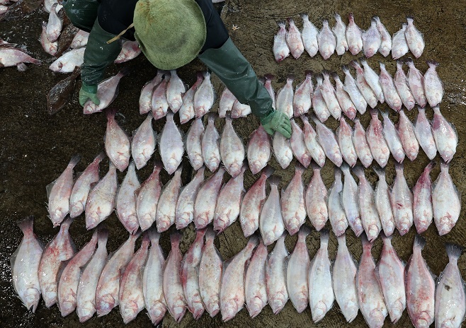 S. Korea to Toughen Tests on Farmed Seafood amid Fukushima Woes
