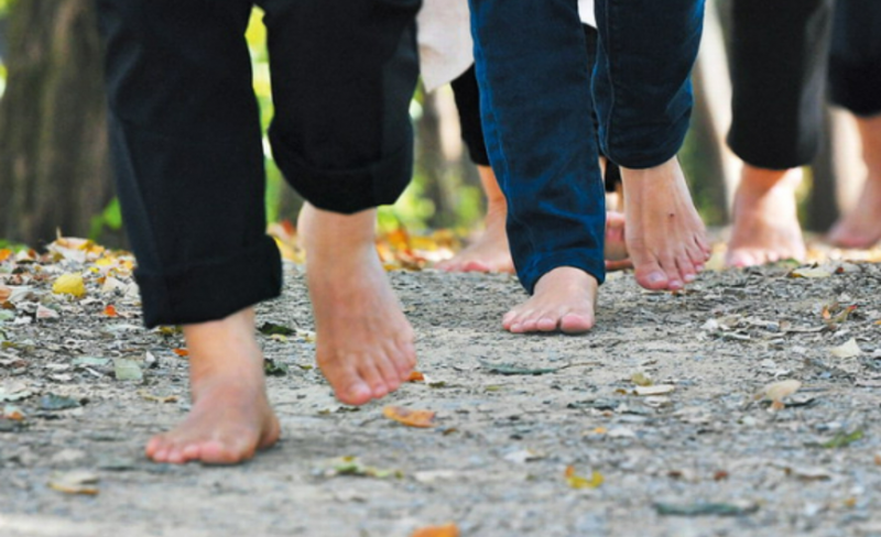 Embracing Barefoot Wellness: Wonju’s Inaugural Barefoot Walking Festival Triumphs