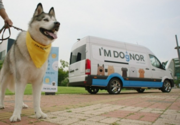 Hyundai Launches ‘I’M DOgNOR’ Campaign to Promote Dog Blood Donation Culture