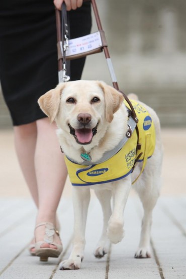 A Legacy of Compassion: Samsung Guide Dog School Celebrates 30 Years of Changing Lives