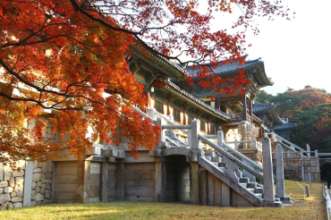 Bulguksa, Nami Island, and Hwadam Forest Were Top Places to Enjoy Autumn Leaves Last Year