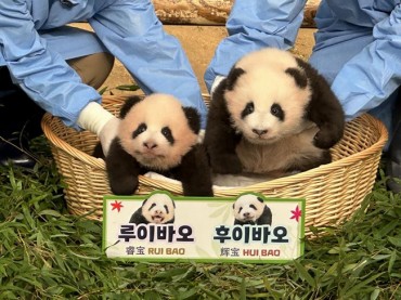 Everland Discloses Twin Baby Pandas’ Names