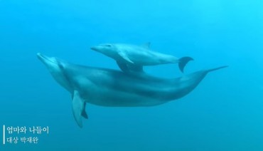 Captivating Image of Dolphin Duo Wins Grand Prize in Marine Photography Competition