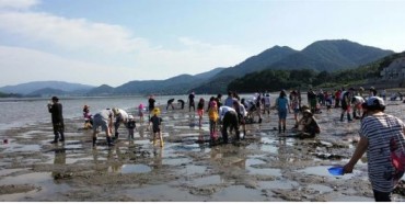 MOF Sets Up Pilot Blue Carbon Habitat in Gangjin to Create ‘Breathing Coast’