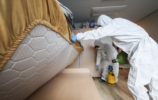 In this file photo, workers disinfect a university dorm room in the southeastern city of Daegu on Oct. 19, 2023, following a report of bedbugs. (Image courtesy of Yonhap) 