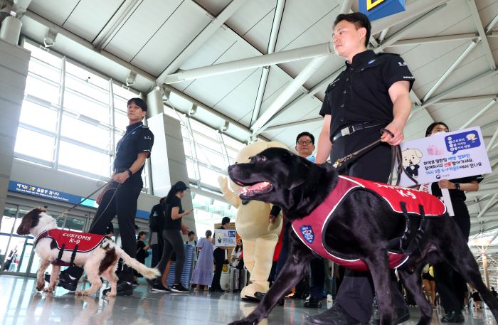 Customs officials conduct a campaign to prevent drug smuggling with drug detection dogs at the departure hall of Incheon International Airport Terminal 1.