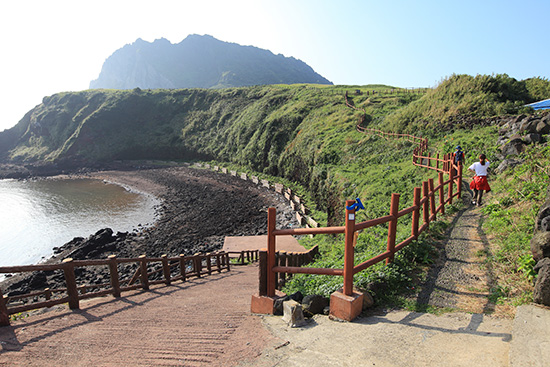 Jeju Olle Walking Festival Receives Rave Reviews and High Recommendations from Participants
