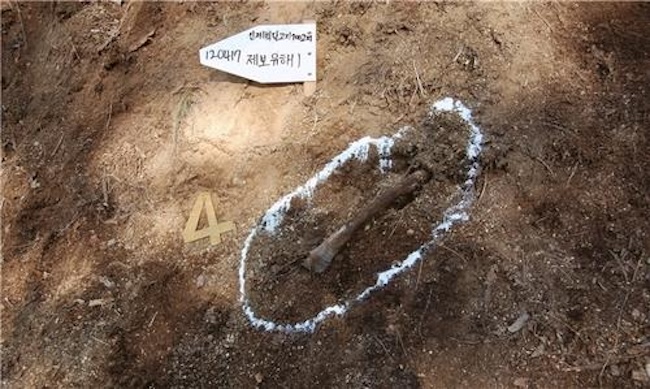214 Sets of Remains of Korean War Excavated This Year