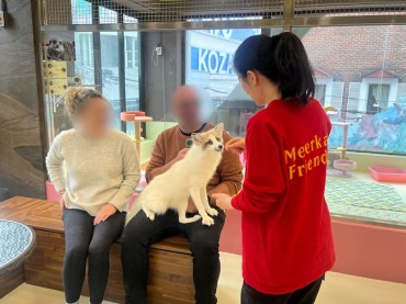 South Korea Bans Wildlife Cafes Displaying Exotic Animals Like Raccoons and Meerkats