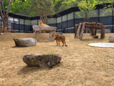 Busan Implements Ban on Live Wild Animal Exhibits Outside Zoos and Aquariums