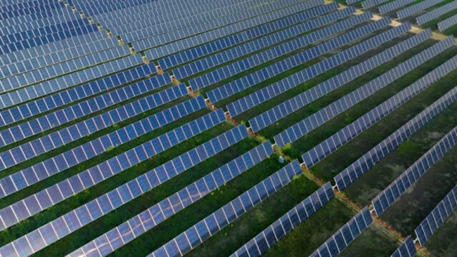 Amazon Ventures Into South Korea’s Renewable Landscape with First Solar Power Investment