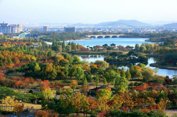 Ilsan Lake Park Maintains First-Class Water Quality Despite Extreme Heat