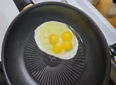 Rare Four-Yolk Eggs Discovered in South Korea