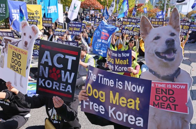 National Assembly Set to Approve Prohibition on Dog Meat Consumption