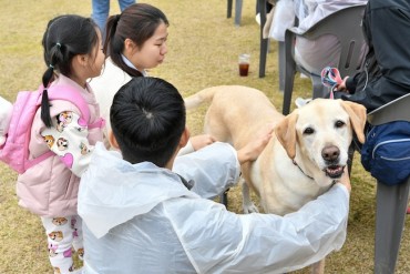 Study Reveals High Cost of Pet Care in South Korea, with One in Five Considering Giving Up Their Pets