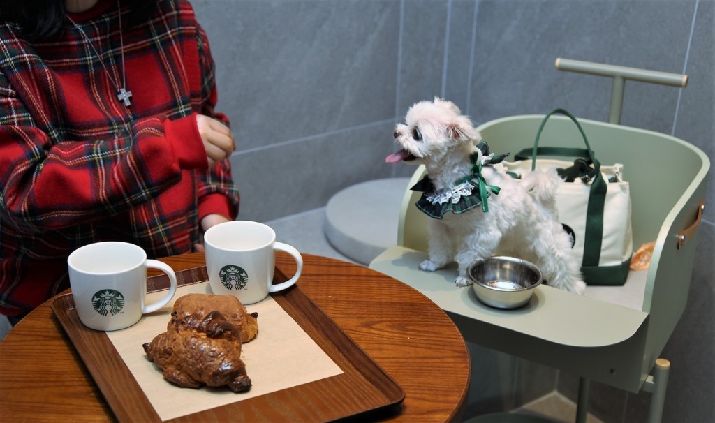 The store, which has two floors and seats 142 customers, features a 'Pet Zone' on the second floor, specially designed for patrons with pets. This area includes pet-specific chairs, and customers with pets can access the Pet Zone through an external entrance on the first floor. (Image courtesy of Starbucks Korea)