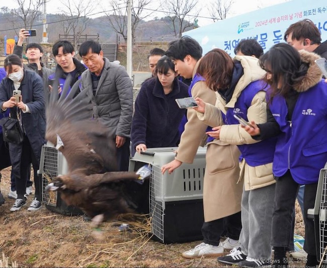 Hyosung Steps Up to Support Endangered Winter Birds with Feeding Initiatives