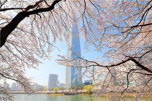 SK Telecom’s AI Assistant Offers Crowd Updates for 37 Cherry Blossom Viewing Spots