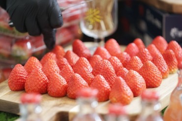 Strawberry Aficionados Flock to Seoul for a Taste of Miryang’s Sweet Heritage