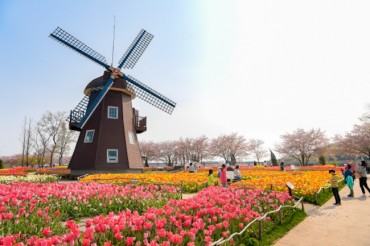 Suncheon Bay Garden Distributes 150,000 Tulip Bulbs to Residents