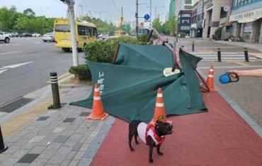 1,424 Human-pet Dog Patrol Teams to Join Efforts to Ensure Town Safety in Seoul