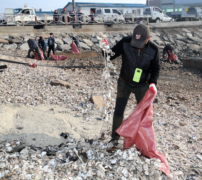 Coastal Regions in South Korea Grapple With Marine Litter, Study Shows