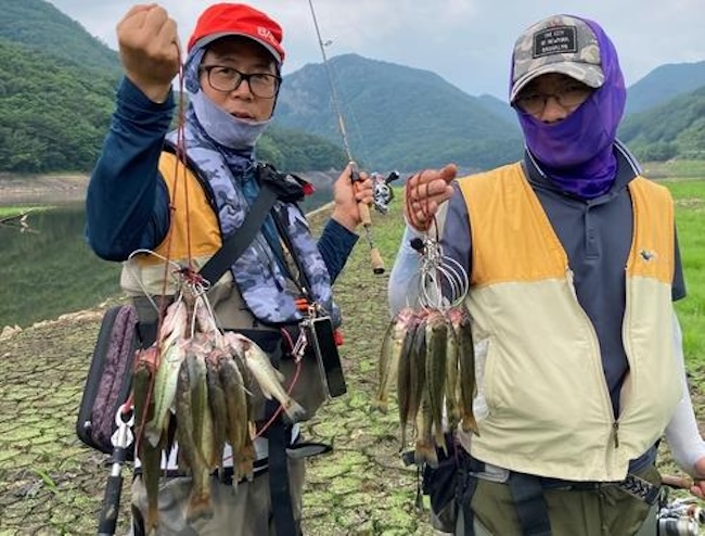 South Korean National Park Battles Invasive Fish Species