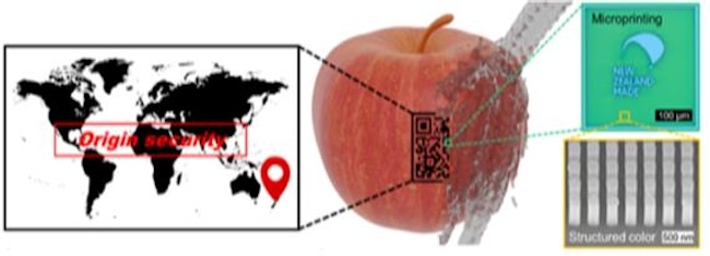 South Korean Scientists Develop Innovative Anti-Counterfeiting ‘Smart Labeling’ Technology