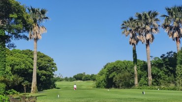 Jeju Golf Courses Face Declining Popularity After Covid-19 Boom