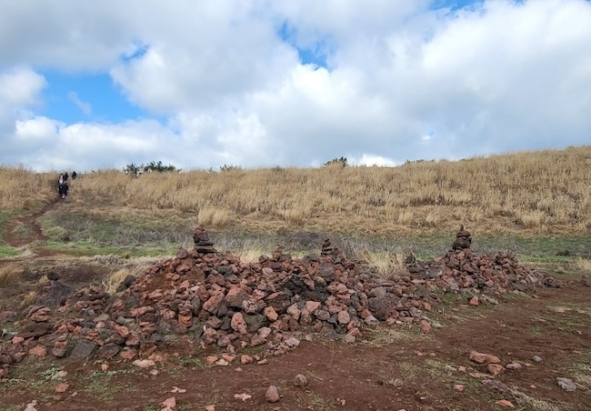 Jeju Island Stone Piles Cleared to Protect Amphibian Habitats on Geum Oreum